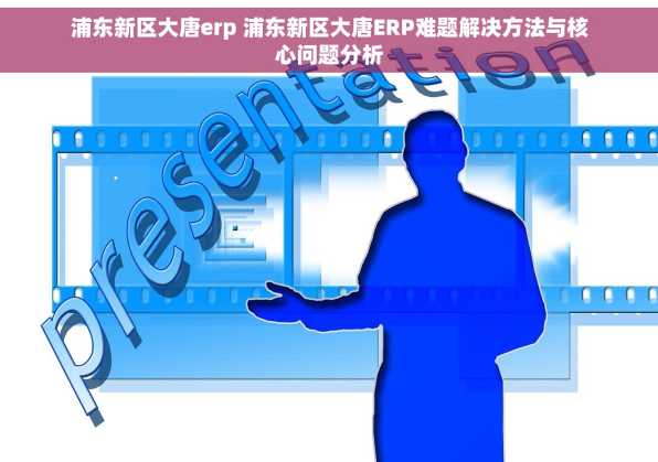 浦东新区大唐erp 浦东新区大唐ERP难题解决方法与核心问题分析