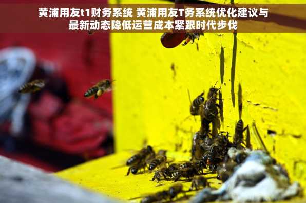 黄浦用友t1财务系统 黄浦用友T务系统优化建议与最新动态降低运营成本紧跟时代步伐