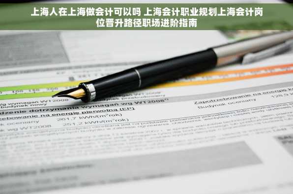 上海人在上海做会计可以吗 上海会计职业规划上海会计岗位晋升路径职场进阶指南