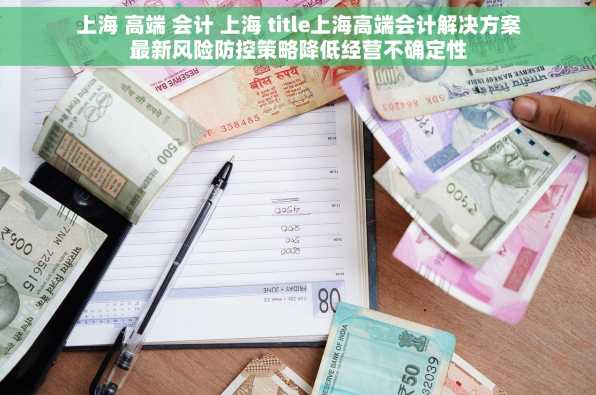 上海 高端 会计 上海 title上海高端会计解决方案最新风险防控策略降低经营不确定性