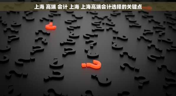 上海 高端 会计 上海 上海高端会计选择的关键点