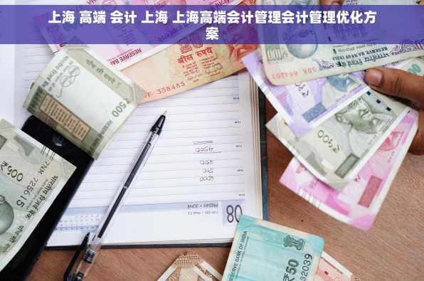 上海 高端 会计 上海 上海高端会计管理会计管理优化方案