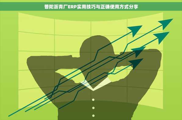 普陀沥青厂ERP实用技巧与正确使用方式分享
