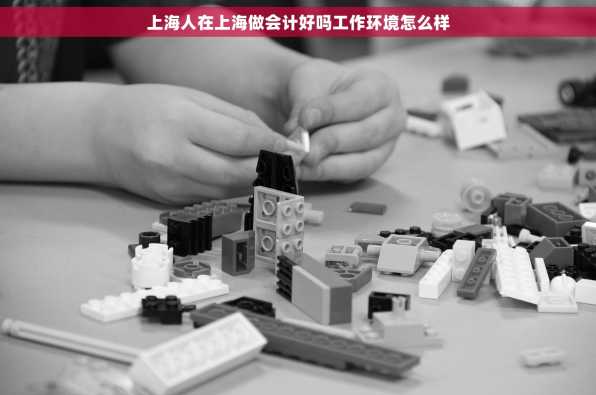 上海人在上海做会计好吗工作环境怎么样