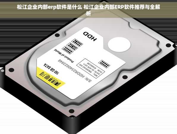 松江企业内部erp软件是什么 松江企业内部ERP软件推荐与全解析