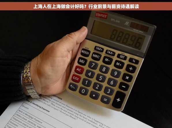 上海人在上海做会计好吗？行业前景与薪资待遇解读