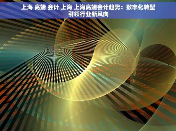上海 高端 会计 上海 上海高端会计趋势：数字化转型引领行业新风向