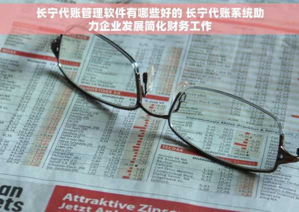 长宁代账管理软件有哪些好的 长宁代账系统助力企业发展简化财务工作