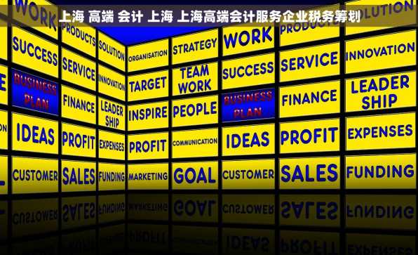 上海 高端 会计 上海 上海高端会计服务企业税务筹划