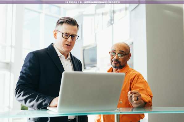 上海 高端 会计 上海 上海高端会计服务税务申报代理与合规管理