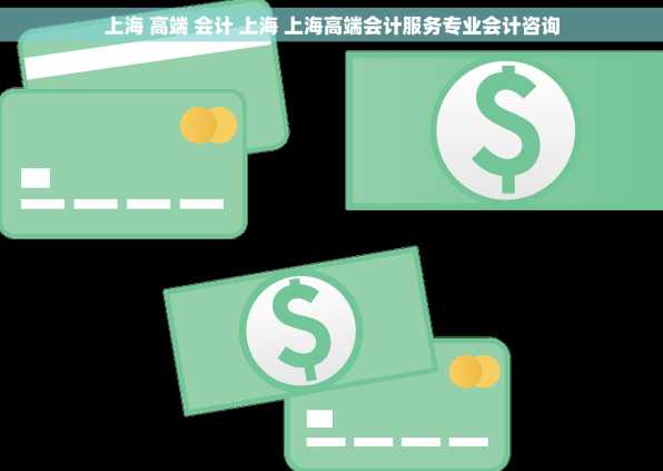 上海 高端 会计 上海 上海高端会计服务专业会计咨询