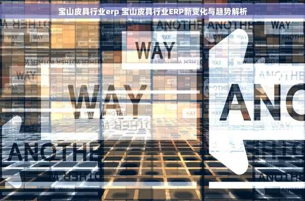 宝山皮具行业erp 宝山皮具行业ERP新变化与趋势解析