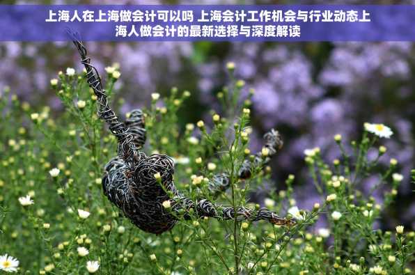 上海人在上海做会计可以吗 上海会计工作机会与行业动态上海人做会计的最新选择与深度解读