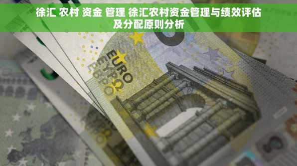 徐汇 农村 资金 管理 徐汇农村资金管理与绩效评估及分配原则分析