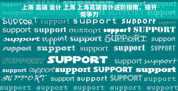 上海 高端 会计 上海 上海高端会计进阶指南，提升竞争力