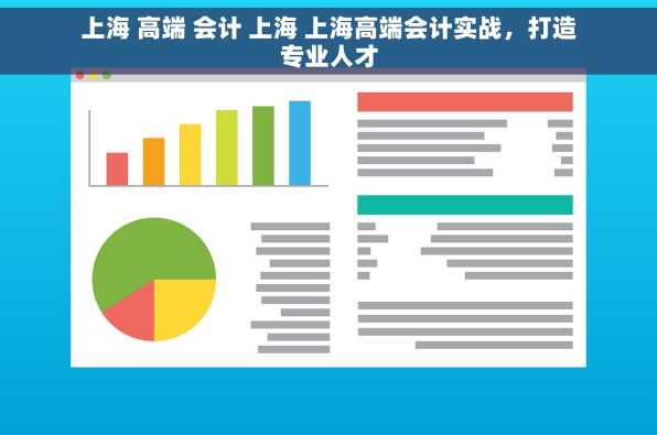 上海 高端 会计 上海 上海高端会计实战，打造专业人才