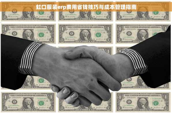 虹口服装erp费用省钱技巧与成本管理指南