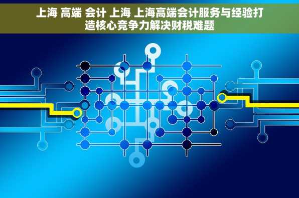 上海 高端 会计 上海 上海高端会计服务与经验打造核心竞争力解决财税难题
