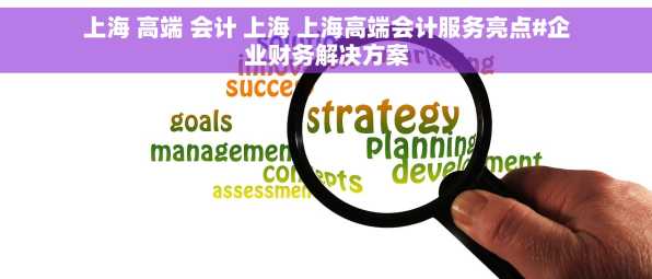 上海 高端 会计 上海 上海高端会计服务亮点#企业财务解决方案