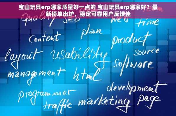 宝山玩具erp哪家质量好一点的 宝山玩具erp哪家好？最新榜单出炉，稳定可靠用户反馈佳