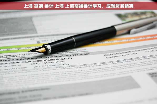 上海 高端 会计 上海 上海高端会计学习，成就财务精英