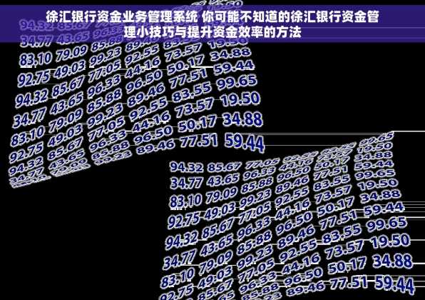 徐汇银行资金业务管理系统 你可能不知道的徐汇银行资金管理小技巧与提升资金效率的方法
