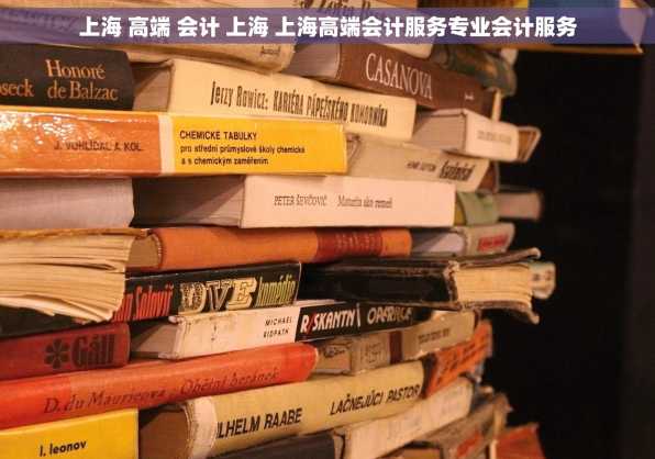 上海 高端 会计 上海 上海高端会计服务专业会计服务