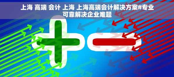 上海 高端 会计 上海 上海高端会计解决方案#专业可靠解决企业难题