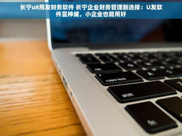 长宁u8用友财务软件 长宁企业财务管理新选择：U友软件显神威，小企业也能用好