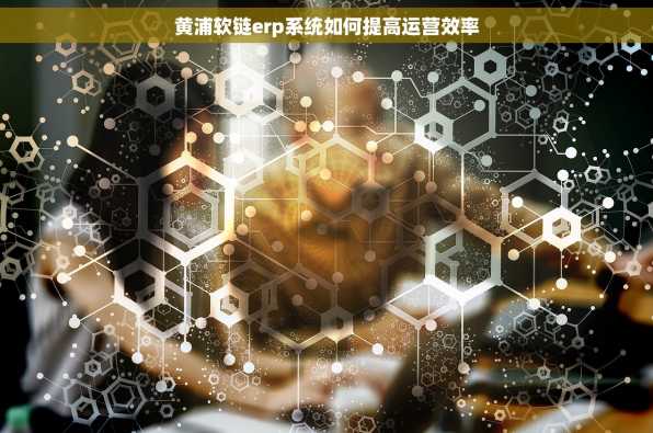 黄浦软链erp系统如何提高运营效率