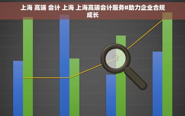 上海 高端 会计 上海 上海高端会计服务#助力企业合规成长