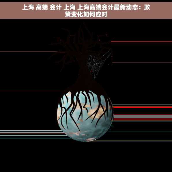 上海 高端 会计 上海 上海高端会计最新动态：政策变化如何应对