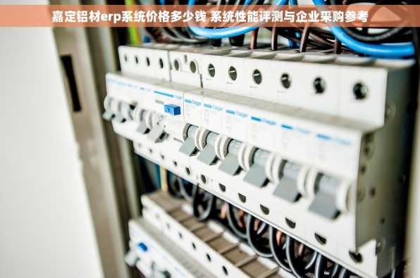 嘉定铝材erp系统价格多少钱 系统性能评测与企业采购参考
