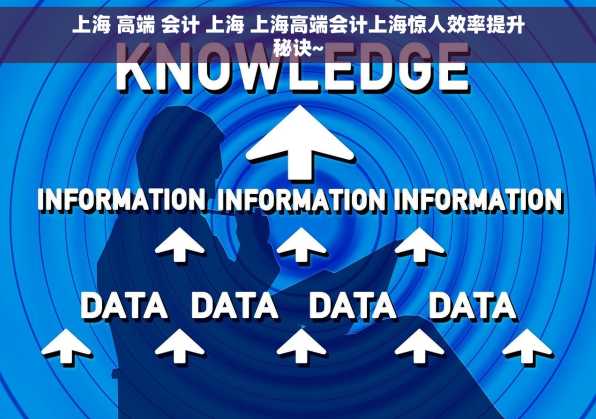 上海 高端 会计 上海 上海高端会计上海惊人效率提升秘诀~