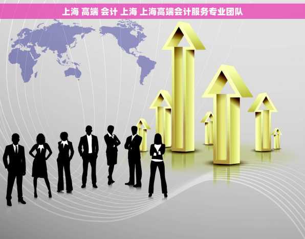 上海 高端 会计 上海 上海高端会计服务专业团队