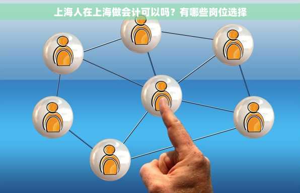 上海人在上海做会计可以吗？有哪些岗位选择