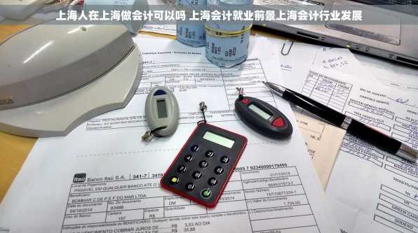 上海人在上海做会计可以吗 上海会计就业前景上海会计行业发展