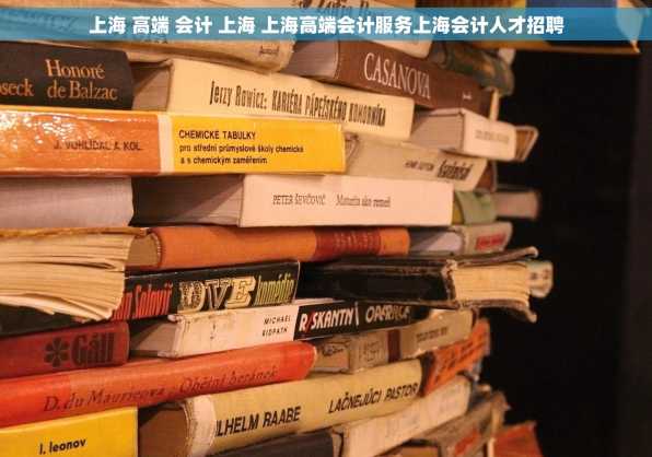 上海 高端 会计 上海 上海高端会计服务上海会计人才招聘