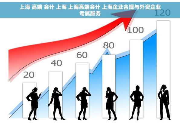 上海 高端 会计 上海 上海高端会计 上海企业合规与外资企业专属服务