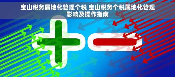 宝山税务属地化管理个税 宝山税务个税属地化管理影响及操作指南