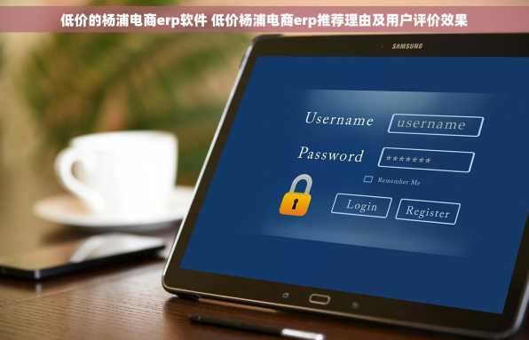 低价的杨浦电商erp软件 低价杨浦电商erp推荐理由及用户评价效果