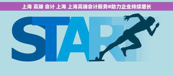 上海 高端 会计 上海 上海高端会计服务#助力企业持续增长