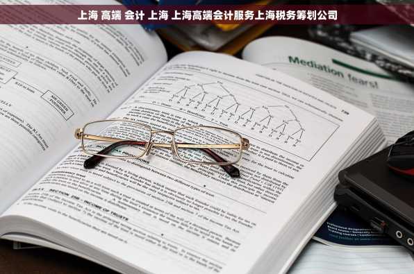 上海 高端 会计 上海 上海高端会计服务上海税务筹划公司