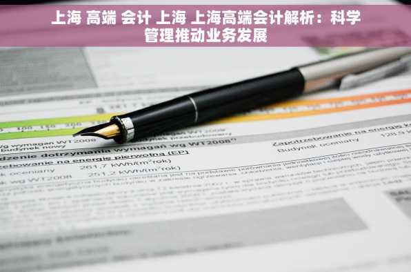 上海 高端 会计 上海 上海高端会计解析：科学管理推动业务发展