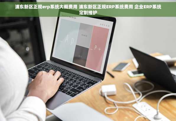 浦东新区正规erp系统大概费用 浦东新区正规ERP系统费用 企业ERP系统定制维护