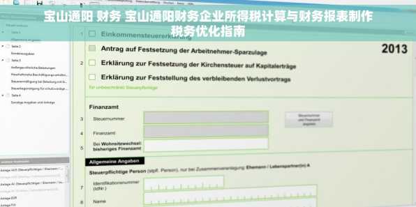 宝山通阳 财务 宝山通阳财务企业所得税计算与财务报表制作税务优化指南