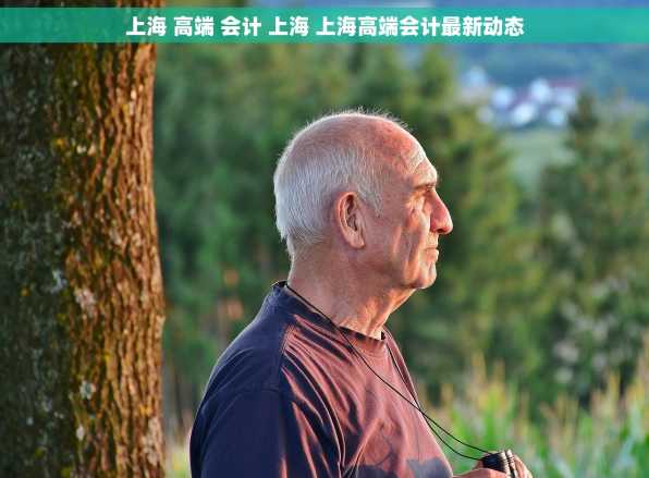 上海 高端 会计 上海 上海高端会计最新动态