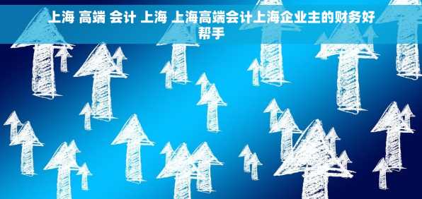 上海 高端 会计 上海 上海高端会计上海企业主的财务好帮手