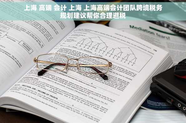 上海 高端 会计 上海 上海高端会计团队跨境税务规划建议帮你合理避税