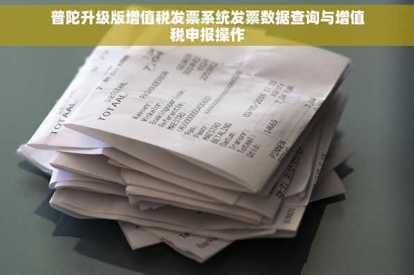 普陀升级版增值税发票系统发票数据查询与增值税申报操作